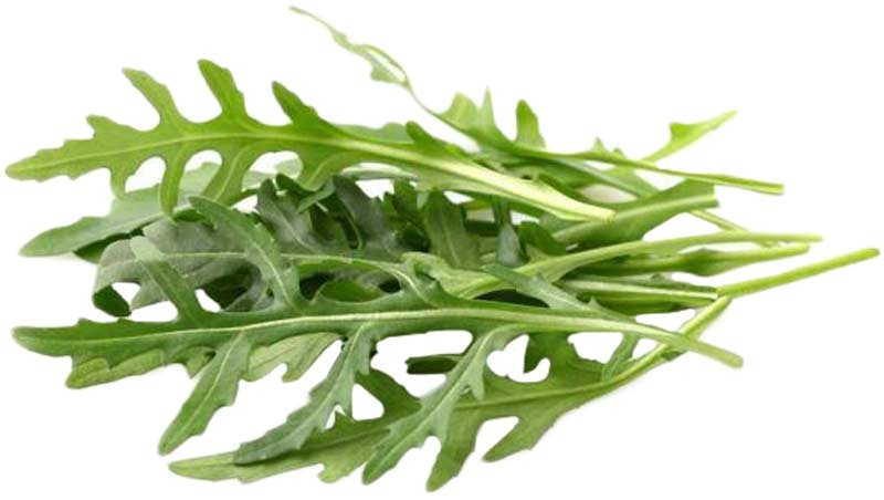 Салат Рукола