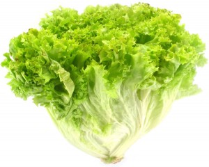 Салат листовой Лолло Бионда