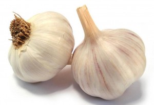 Чеснок
