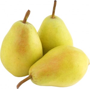 Груша Санта-Марія