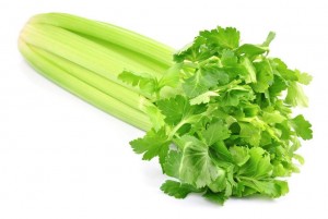 Стебель сельдерея