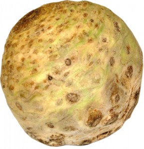 Корень сельдерея