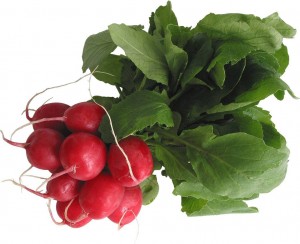 Редис пучок