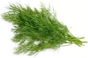 Зелень кріп