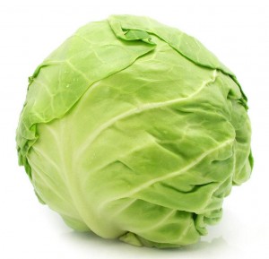 Капуста білокачанна