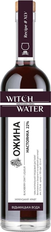 Настойка плодовая Witch Water Ежевика 22% 0,5л