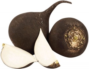 Редька чорна